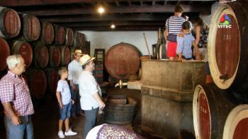 Festejos à volta da uva - Terceira Dimensão 1247