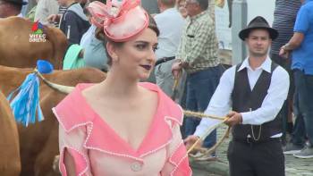 Bodo de Leite em Direto da Vila das Lajes