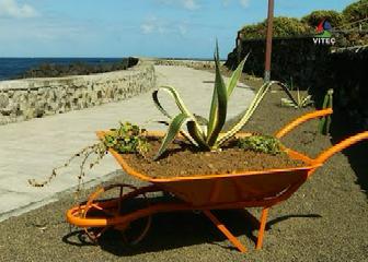 Carrinhos de mão no Porto Martins