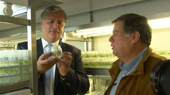 Parque Tecnológico da Terceira abrirá portas em 2019 - Terceira Dimensão 1308