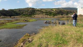 Praia da Vitória é "Município do ano", Desfile de Moda e São Martinho - Abraçando o Futuro 126