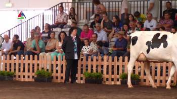 Feira Agrícola Açores 2018 - www.azorestv.com MEO 12443