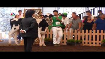Feira Agrícola Açores 2018 - www.azorestv.com MEO 12443