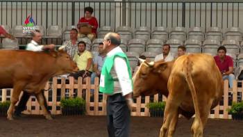 Feira Agrícola Açores 2018 - www.azorestv.com MEO 12443