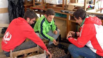 Reinserção social no mercado de trabalho - InFoco 212