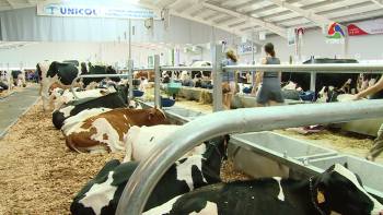 Explorações da Terceira no Dairy-4-Future - Terceira Dimensão 1447