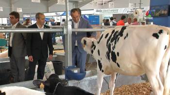 Produtores da Terceira querem preços mais justos - InFoco 263