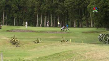 Torneio de Golfe das Sanjoaninas junta 112 atletas - Terceira Dimensão 1502