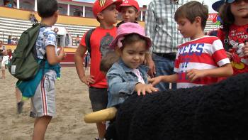 A tourada também é para meninos - Terceira Dimensão 1510