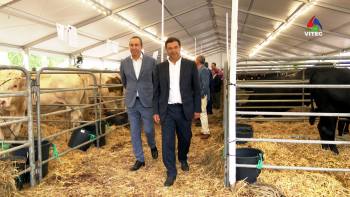 Feira Agrícola regressa ao Faial após 6 anos - InFoco 284