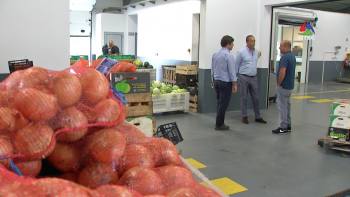 Aumentam as áreas de produção de diversificação agrícola - InFoco 310