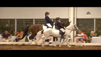 Pónei da Terceira pode rumar a novos mercados - InFoco 311