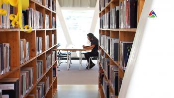 Incentivar a leitura – Terceira Dimensão 1563