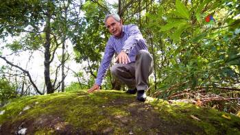 Presença pré-portuguesa na Terceira é uma possibilidade - Terceira Dimensão 1567