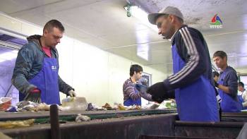 Terceira com uma percentagem de 36% de reciclagem Terceira Dimensão 1569