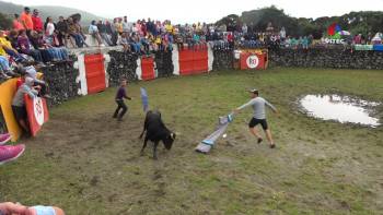 Mato e Toiros nas Festas das Lajes 2019