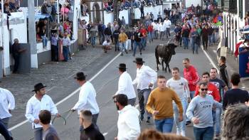 Tourada à Corda nas Festas das Lajes 2019