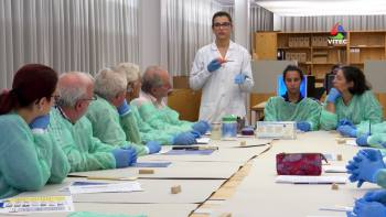 Preservar o papel é deixar memórias aos mais novos - Terceira Dimensão 1595