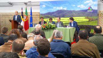 Alterações ao POSEI 2020– InFoco 384