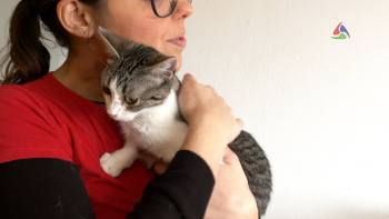 SER fator de mudança na vida dos animais – Terceira Dimensão 1690