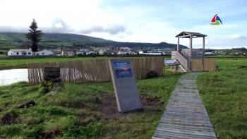 Zonas húmidas preservam fauna e flora - InFoco 396