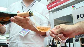 Vinhos do país à prova na ilha Terceira – Terceira Dimensão 1696