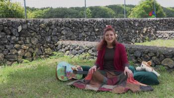 Proteger a casa do coelhinho - Terceira Dimensão Júnior 7