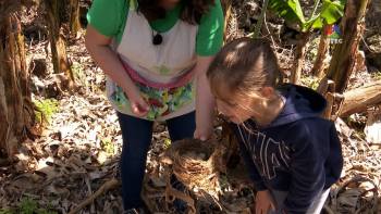 Ninhos que dão vida ao pomar - Terceira Dimensão Júnior 18