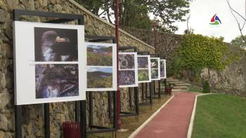 Angra: cidade rica em biodiversidade – Terceira Dimensão 1730