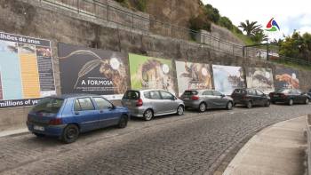 Trazer os insetos à Cidade – Terceira Dimensão 1734