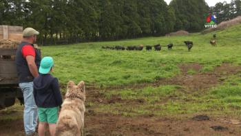 Ganadaria Pereira: o sonho comandou a vida - Terra dos Bravos 6