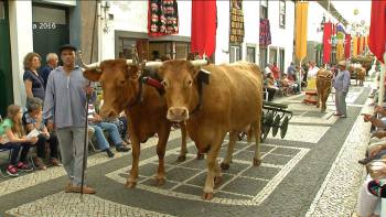 Cortejo Etnográfico das Festas da Praia