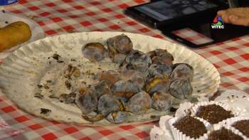 Recordar o São Martinho – Terceira Dimensão 1814