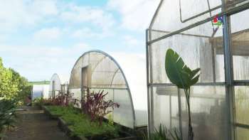 Bioazórica: promover um estilo de vida saudável - Terceira Dimensão 1826