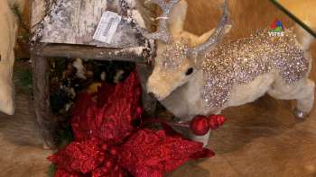 Casas repletas da magia do Natal - Terceira Dimensão Especial Natal 1851