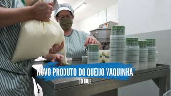 Queijo Vaquinha lança novo produto para rentabilizar recursos - Terceira Dimensão 1878