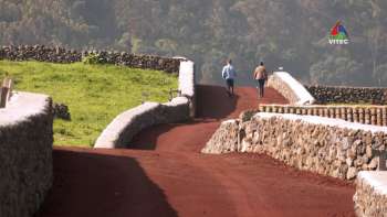 Raminho tem novo caminho agrícola - Terceira Dimensão 1905