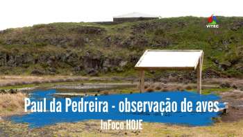 Paul da Pedreira Zona de observação de aves – InFoco 506