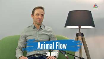 Animal Flow: uma nova prática desportiva - Terceira Dimensão 1916