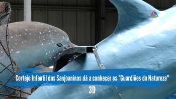 Cortejo Infantil das Sanjoaninas dá a conhecer os "Guardiões da Natureza" - Terceira Dimensão 1970