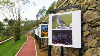 Exposições em Exibição - Sanjoaninas 2021