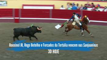 Rouxinol JR, Rego Botelho e Forcados da Tertúlia vencem nas Sanjoaninas - Terceira Dimensão 1983