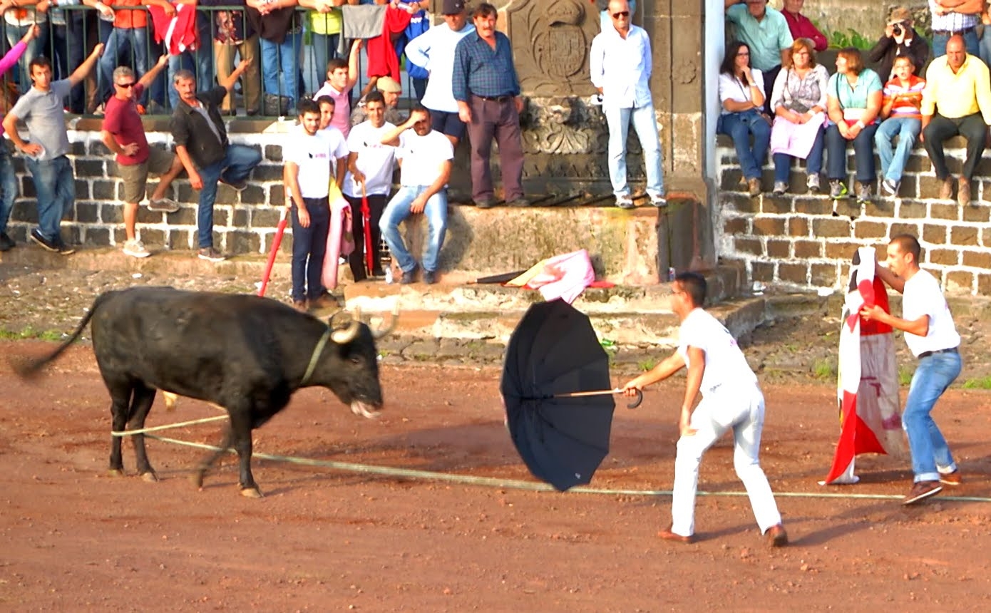 Tourada de São Sebastião - Terceira Dimensão 11