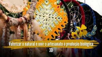 Terra Azórica: valorizar o natural e unir o artesanato à produção biológica Terceira Dimensão 2015