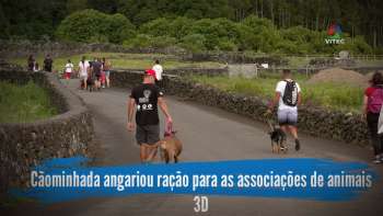 Cãominhada angariou ração para as associações de animais - Terceira Dimensão 2025