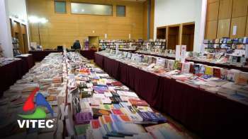 Outono Vivo decorre até 14 de novembro - InFoco 572