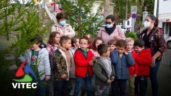 Crianças decoram árvores de Natal em Angra - Terceira Dimensão 2113