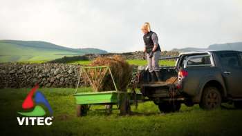 Mulheres na lavoura - Terra dos Bravos 10