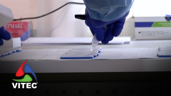 Papel dos Bombeiros da Praia da Vitória no combate à Covid-19 - InFoco 623