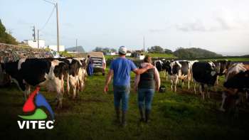 Beatriz: uma mulher no campo - Terra dos Bravos 11